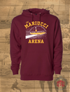 Old Mariucci Arena