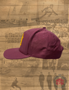 The Minnesotan