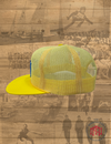 The Minnesotan